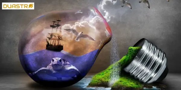 Sustainable Home Practices Reducing Your Environmental Footprint